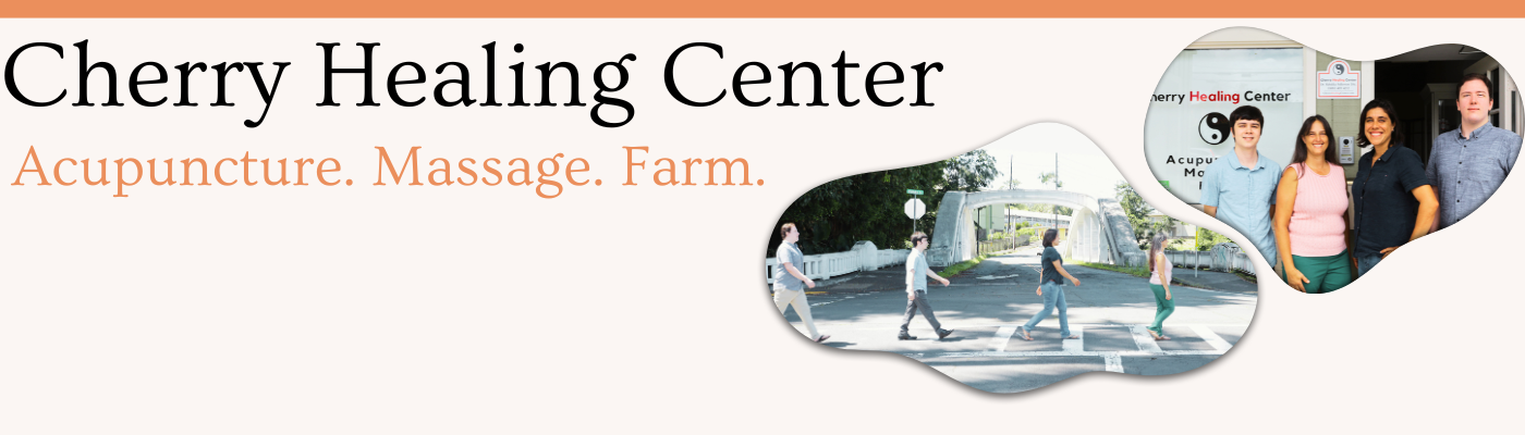hilo acupuncture massage healing farm